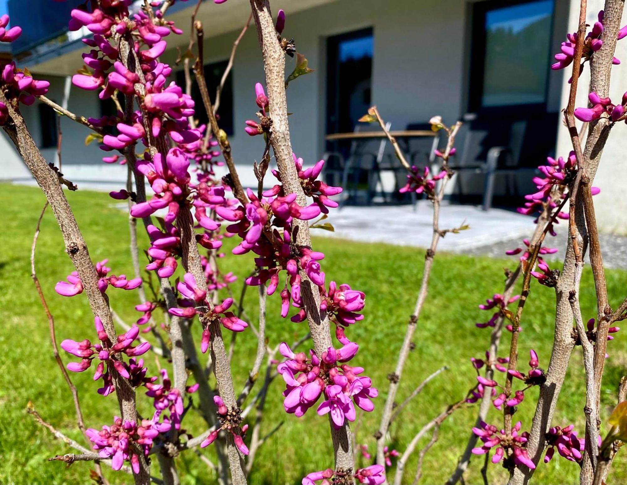 Apartment Bergfieber Fieberbrunn Exterior foto